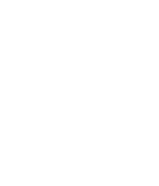 Todorovic sports consultancy